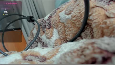 Snapshot of stupid_little_kitten chatting on January 2025 12:15:02 PM stupid little kitten online show from January 2025 12:15:02 PM