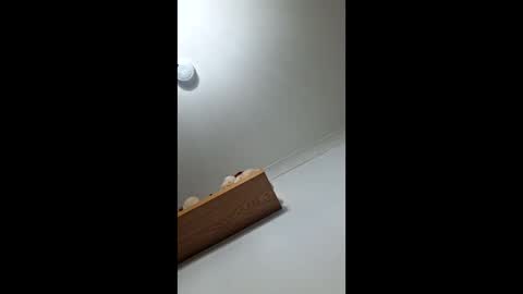 sub199958 online show from December 2025 05:42:02 PM