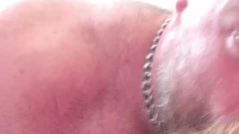 Subbear online show from June 2026 09:32:02 AM