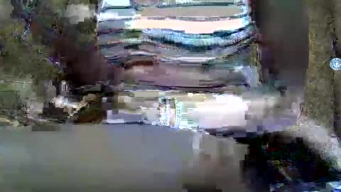 submissive_slut001 online show from January 2025 11:50:02 AM