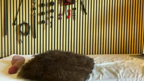 Submissive Slut online show from July 2026 07:37:01 AM