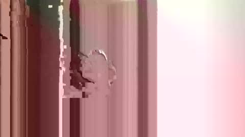 JJ online show from December 2025 02:56:02 PM