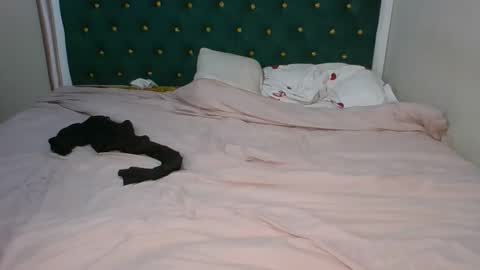 sugarboogers_ online show from February 2026 02:50:02 AM