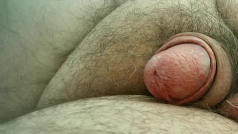 Samenspender online show from May 2026 12:34:02 PM