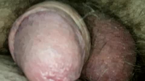 Samenspender online show from May 2026 06:19:02 AM