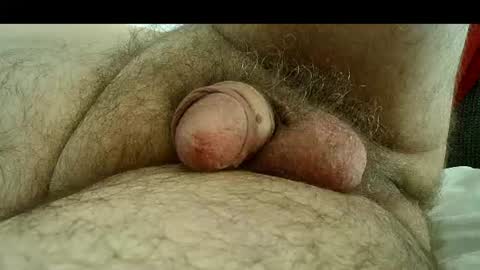 Samenspender online show from July 2026 03:08:01 PM