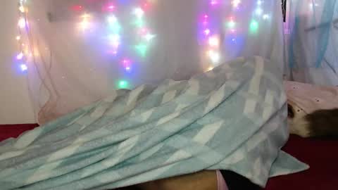 Snapshot of suley_fox chatting on March 2026 02:17:02 AM zuley online show from March 2026 02:17:02 AM