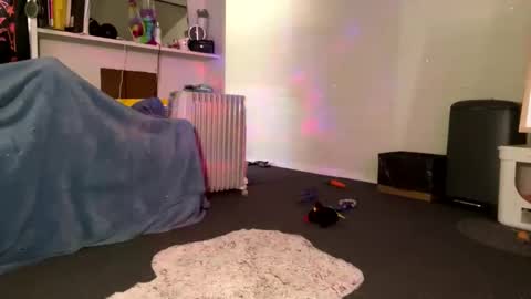 Summer online show from January 2025 03:26:02 AM