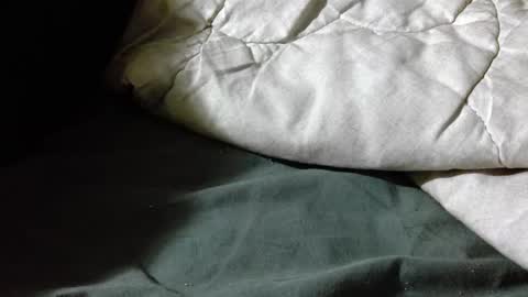 Shy guy online show from April 2026 07:16:01 PM