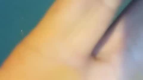 BIGDGEE online show from December 2024 05:07:02 AM