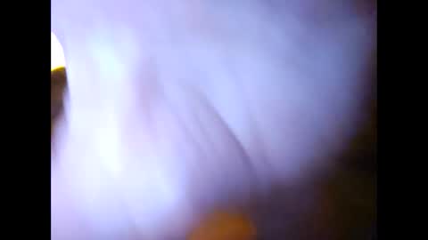 Suntroll online show from February 2025 11:01:02 AM