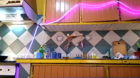 super jony and Marta GMT 1300-1800 every day online show from November 2025 03:55:01 PM