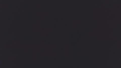 Guero Cash online show from March 2025 11:59:02 PM