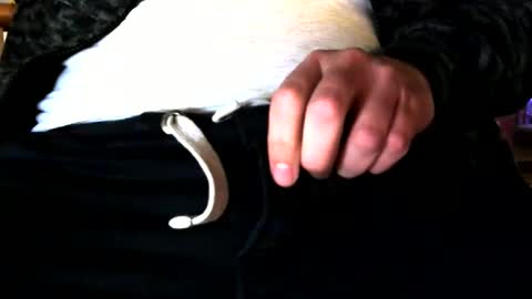 superstuntman1 online show from February 2025 07:36:02 AM