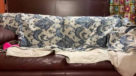 Stony online show from January 2025 07:48:02 AM