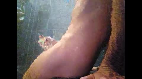 surferxzx online show from January 2025 12:54:02 AM