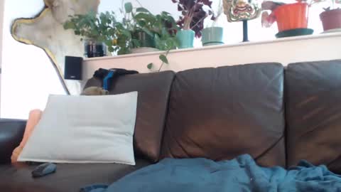 Otto online show from March 2025 10:42:01 PM