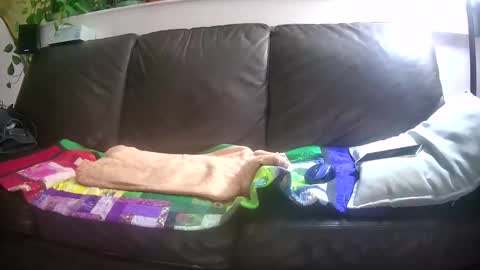 Otto online show from October 2025 04:29:02 AM