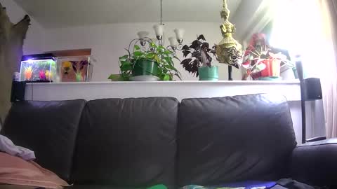 Otto online show from January 2026 05:33:01 AM