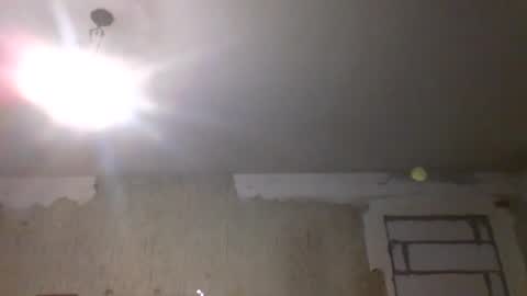 Sveti online show from January 2025 12:17:02 AM