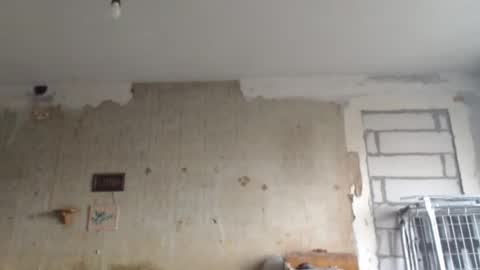 Sveti online show from February 2025 02:02:01 PM