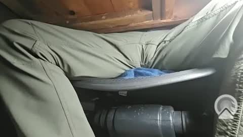 swamp486822 online show from February 2025 06:13:02 AM