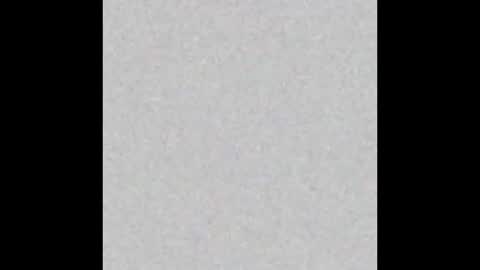 Eva and Tim online show from October 2025 06:03:02 PM