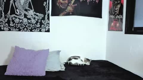 Natasha  independent modelo online show from April 2026 09:49:02 PM