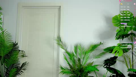 Alice online show from October 2025 03:31:02 PM