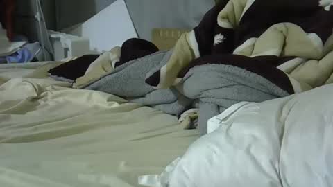 Bellah online show from March 2026 09:29:02 PM