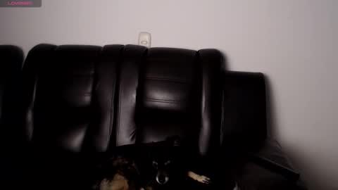 Hannah online show from November 2025 09:03:01 AM