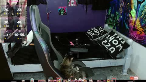 Snapshot of sweet_kitty66 chatting on September 2025 11:28:02 PM elizabeth grey online show from September 2025 11:28:02 PM