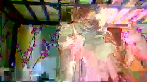 sweetdimple69 online show from November 2025 12:55:01 PM