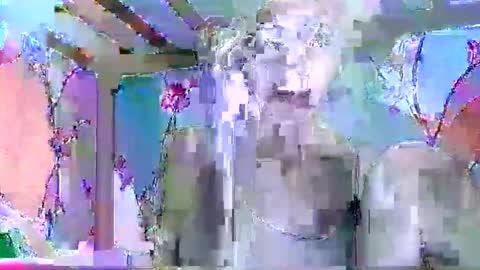 sweetdimple69 online show from November 2025 07:41:01 AM