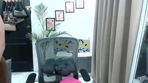 Khaye online show from January 2025 02:08:01 AM