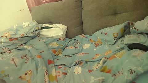 Stacy online show from January 2025 02:13:02 PM