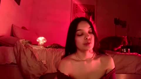 Blu Sweets online show from December 2024 04:56:02 AM