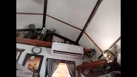 sweetsugar64 online show from February 2026 04:23:02 PM