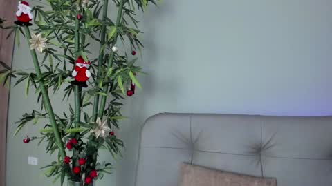    online show from December 2024 10:36:02 PM