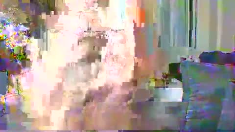 Cute vixen online show from December 2024 02:30:02 AM