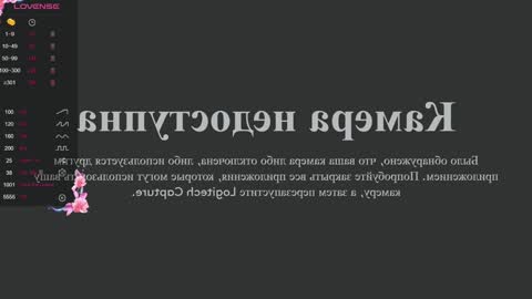 Vikky online show from January 2025 12:16:02 AM