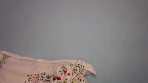 Cat online show from February 2026 05:24:01 PM