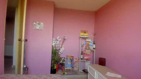 swettcabol online show from December 2024 04:46:02 PM