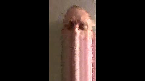 swollenmembers25 online show from February 2026 12:37:02 AM