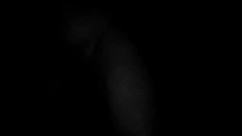 swollpole2112 online show from March 2026 05:01:02 AM