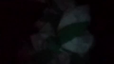 swollpole2112 online show from May 2026 06:43:02 AM