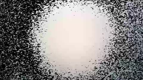 Snapshot of syd666 chatting on March 2026 09:25:01 PM subfordomme online show from March 2026 09:25:01 PM