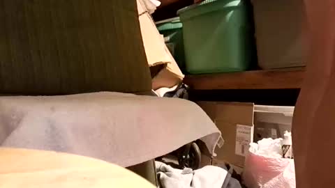 syevecrl online show from January 2026 07:47:02 AM