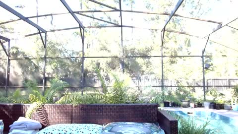 Snapshot of syndica chatting on October 2025 07:46:02 PM Jennah online show from October 2025 07:46:02 PM