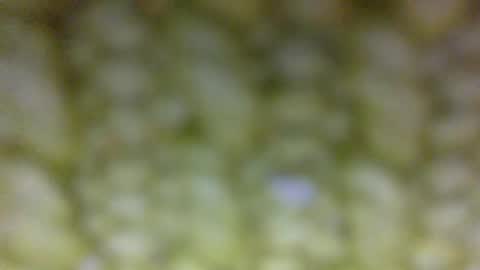 Snapshot of t__o__m__m__y__2323 chatting on May 2026 01:42:02 PM Prostate Orgazmer online show from May 2026 01:42:02 PM